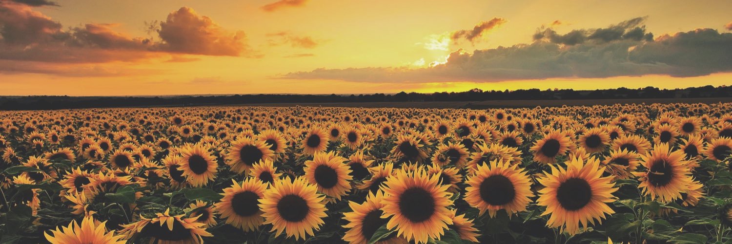 _alexxbarnaa's profile banner image