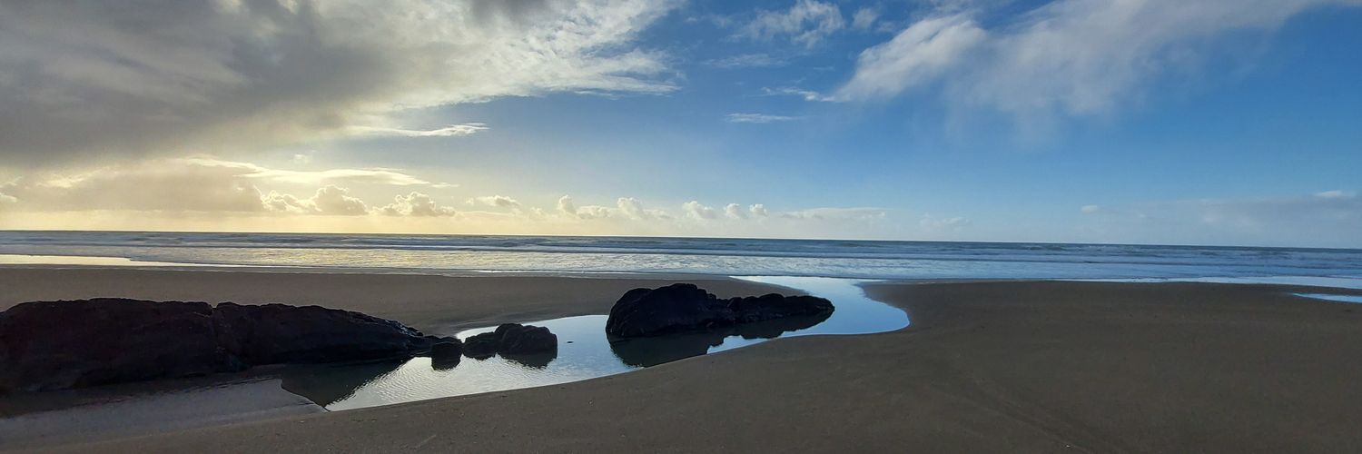 Dr. Kimberley Bird banner