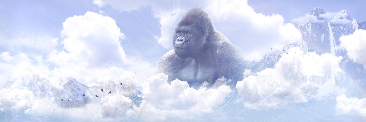 Ryan_the_lefty's profile banner image