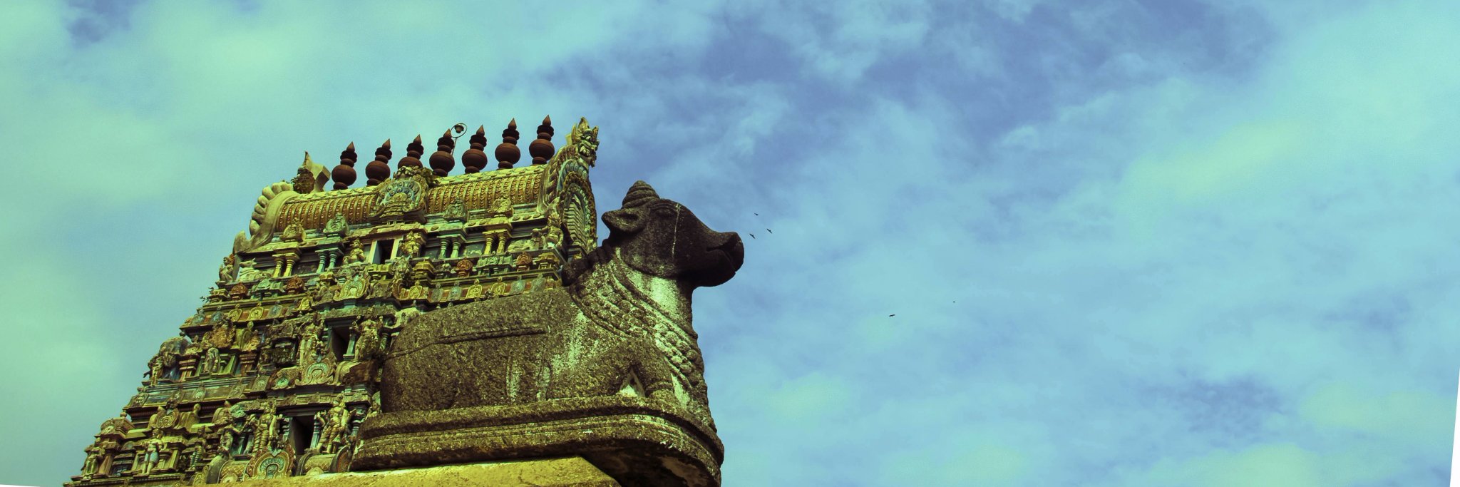 vaithiyanathans's profile banner image