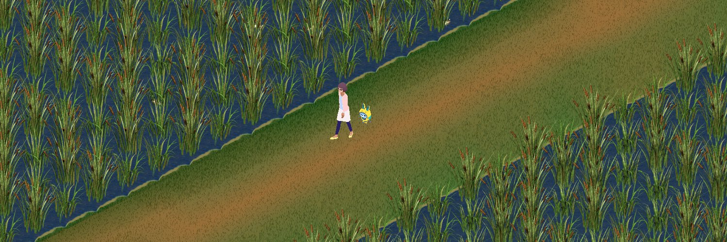 yachtyotto's profile banner image