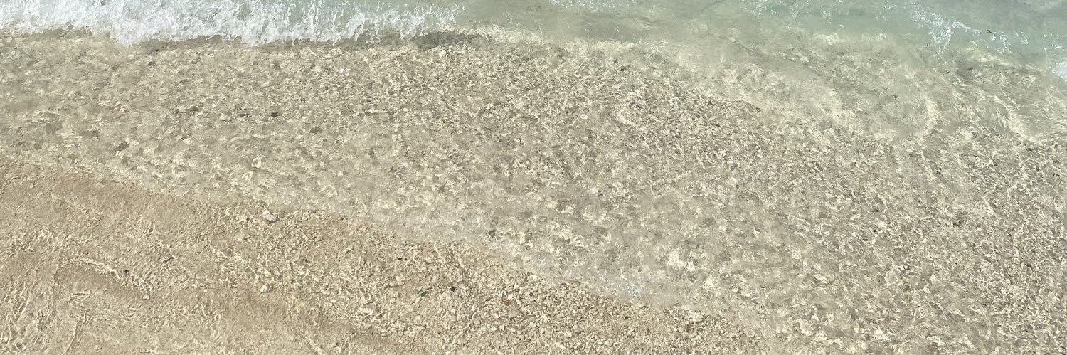 destinycjrose's profile banner image