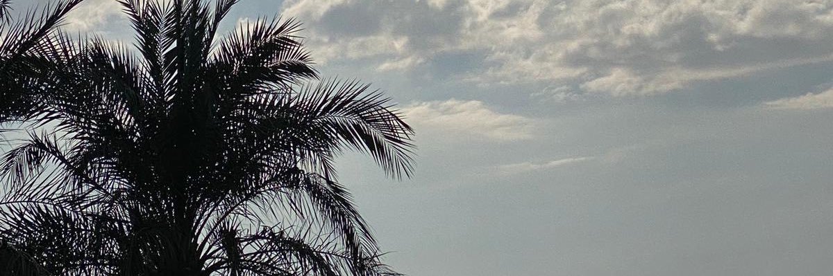 38ariQ's profile banner image