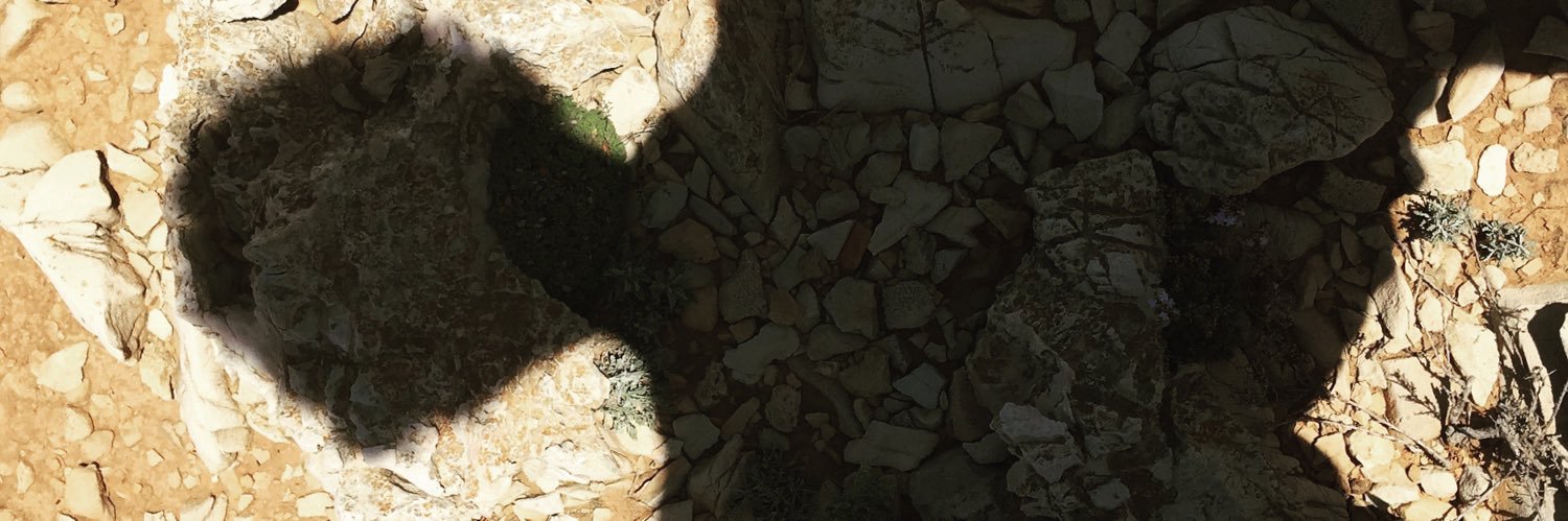 sabatot's profile banner image