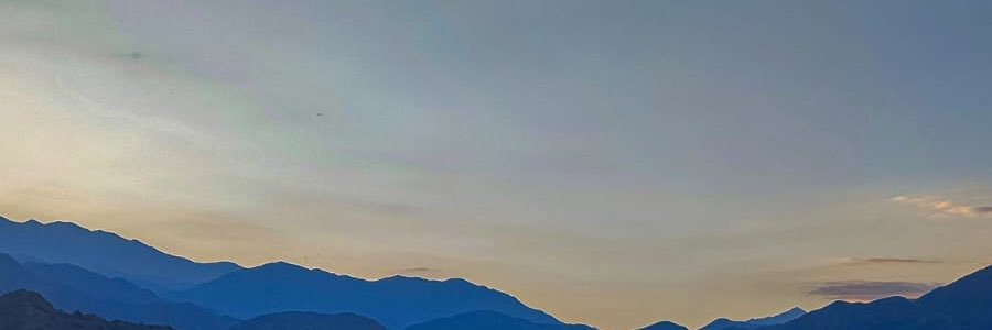 emitarantola's profile banner image