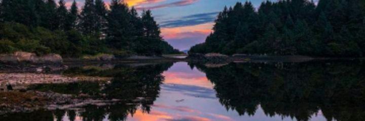 ktocci66's profile banner image