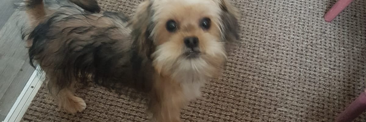 JaxMrs's profile banner image