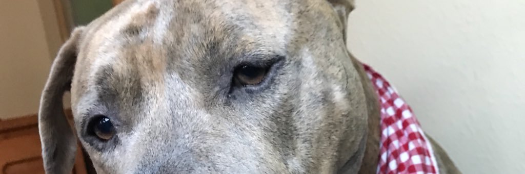 JMpatacsil's profile banner image
