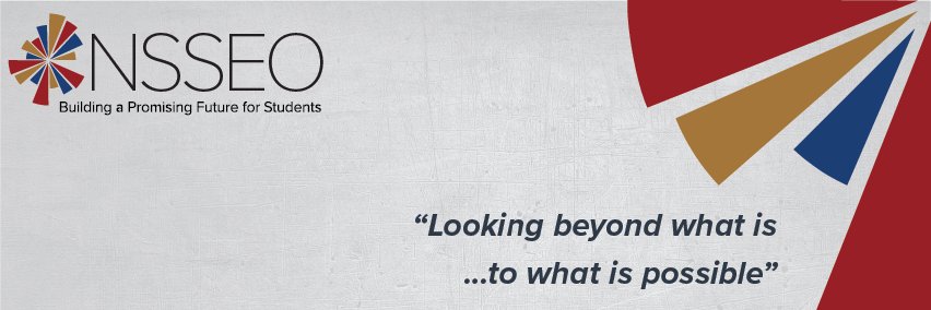 NSSEO banner
