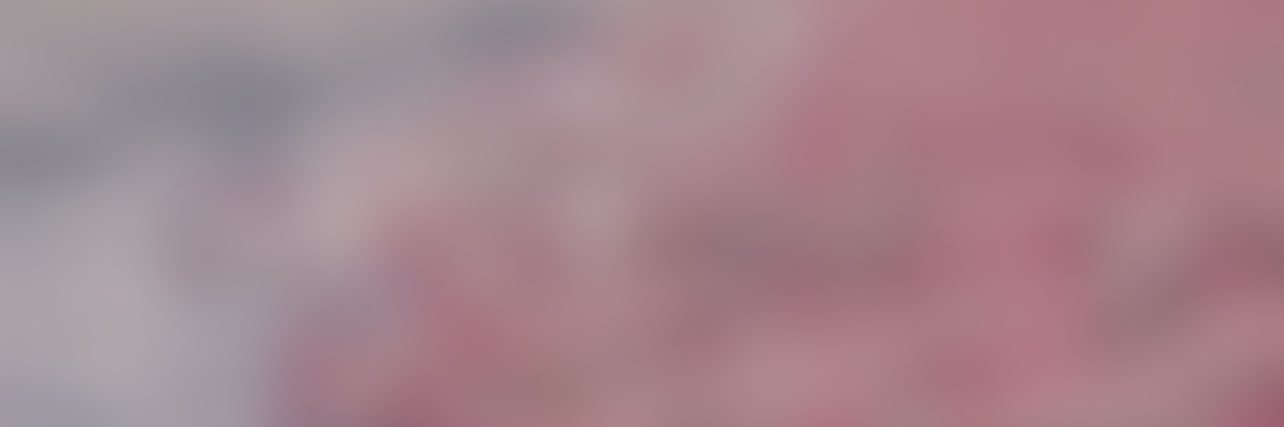 ya5y__'s profile banner image