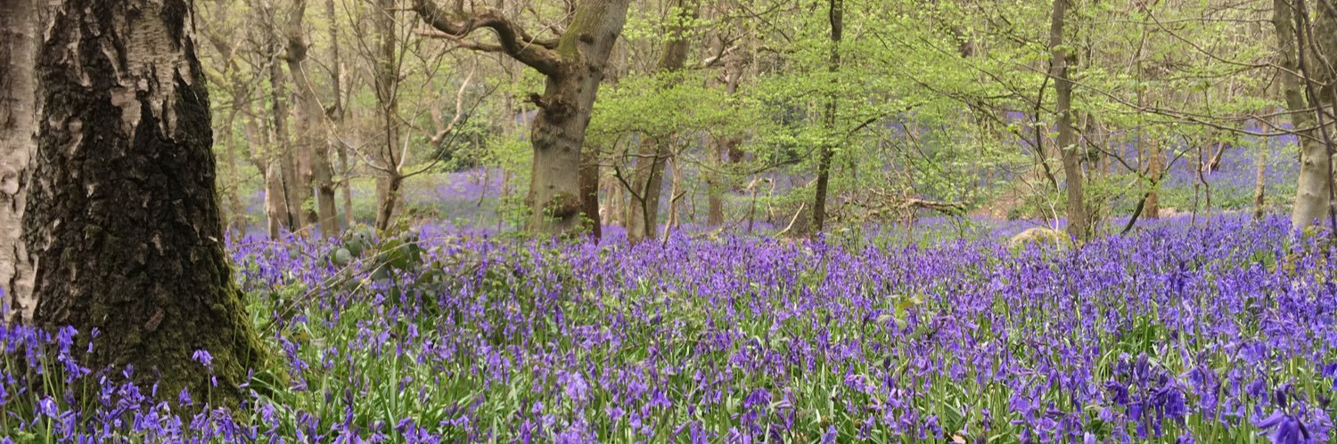 Catherine Killan banner