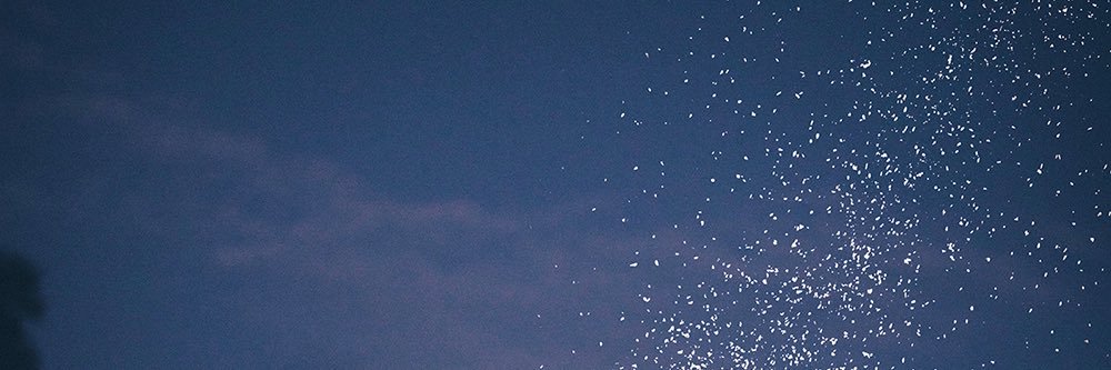 AnneChrn's profile banner image