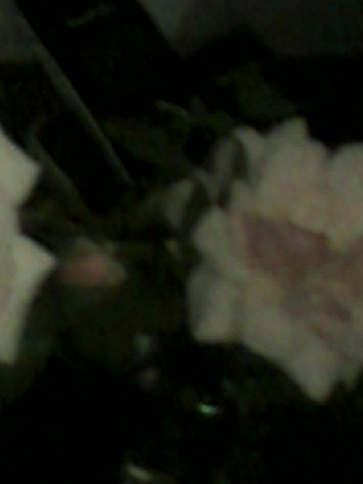 BelaThaly's profile banner image