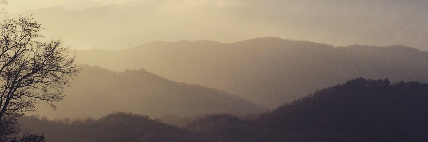 LuPoten's profile banner image