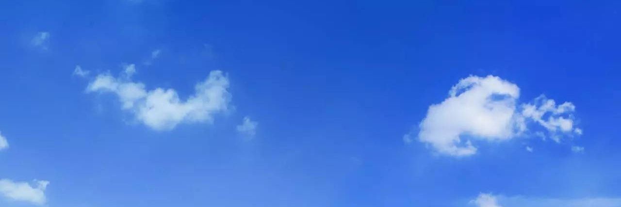 stuwaldy banner