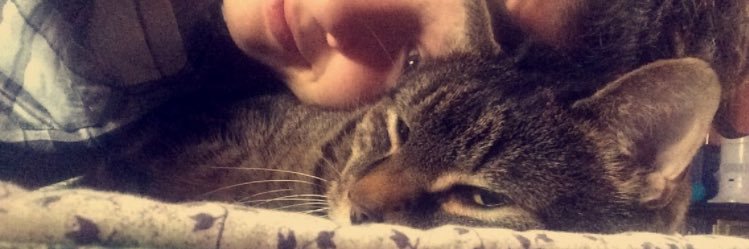 LeahFranciscus's profile banner image