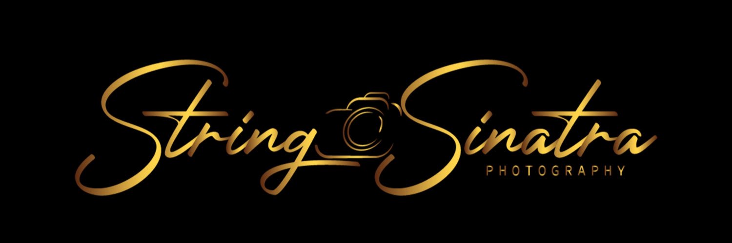 String Sinatra Photography banner