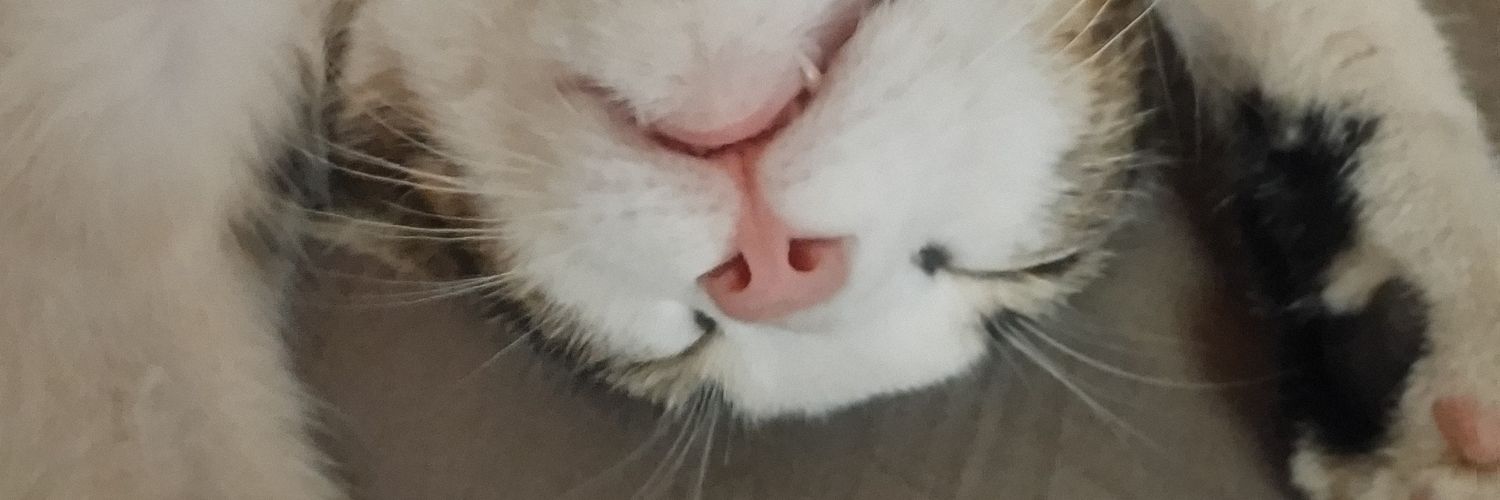 xMtrv's profile banner image