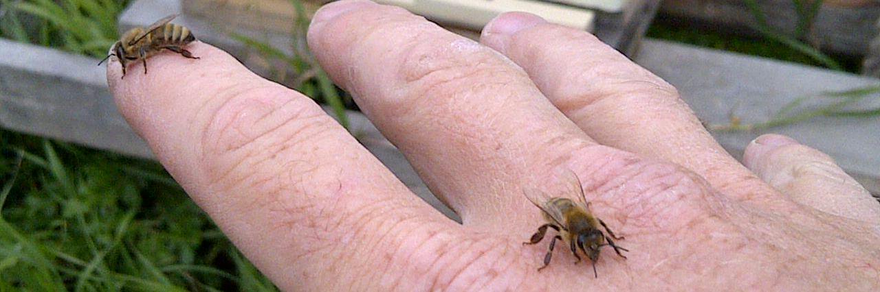Rory Whitbread banner