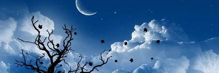 Yue256's profile banner image