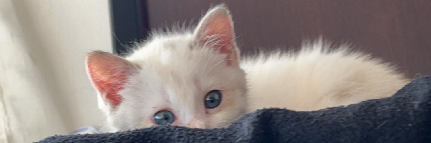 NoDevu's profile banner image