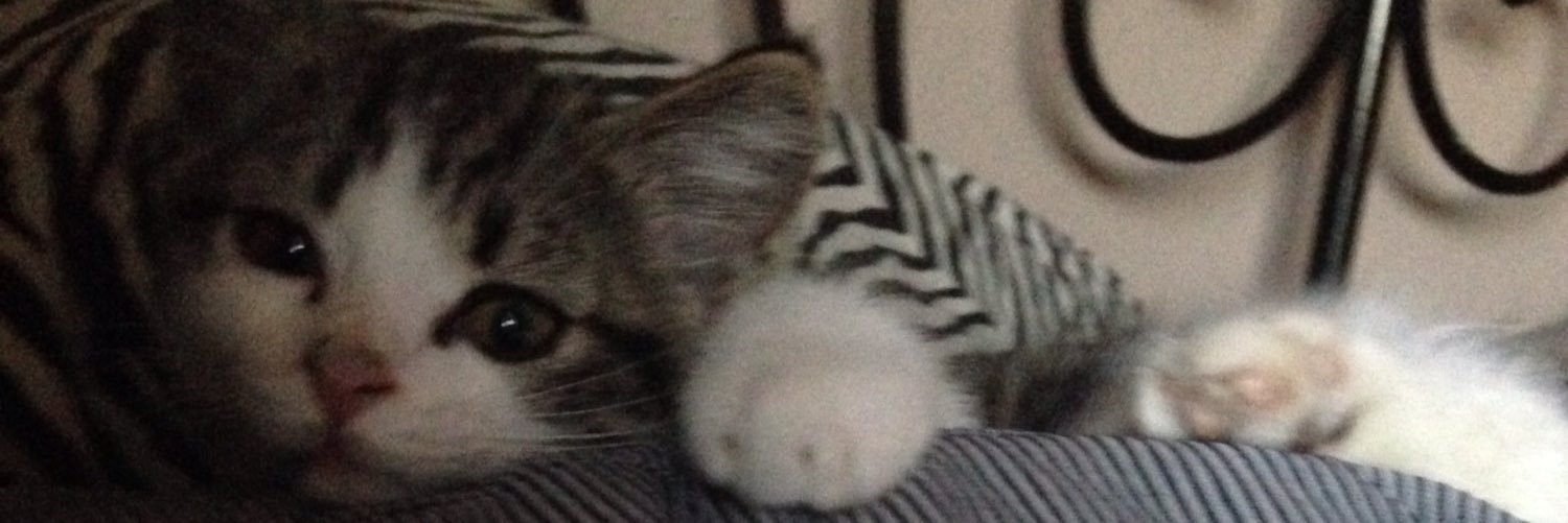 Katie_conner26's profile banner image