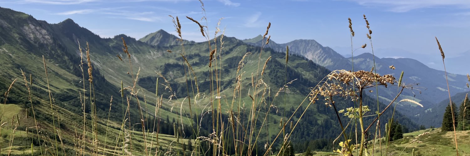 iris 🐈♟📚 banner