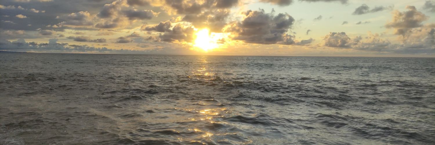 angel_davicho's profile banner image
