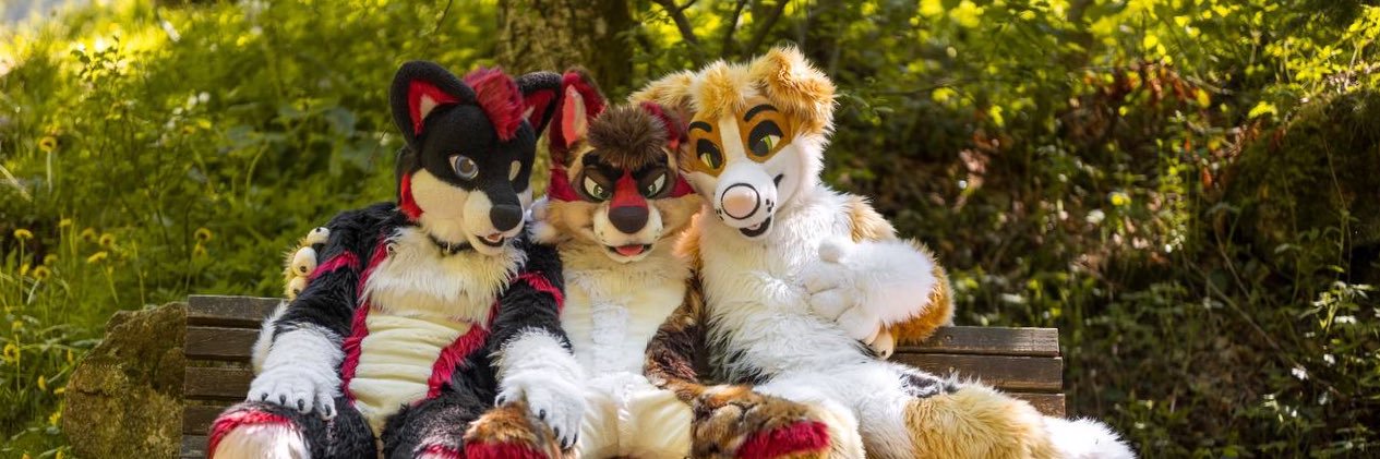Husky_Jason's profile banner image