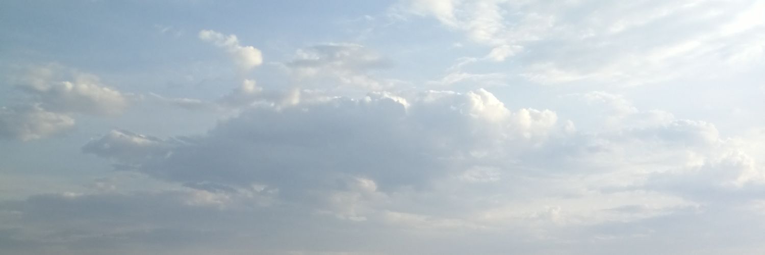 Jaana Raatikainen banner