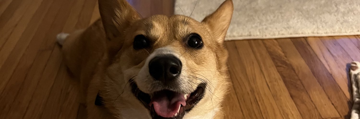 lpkrug's profile banner image