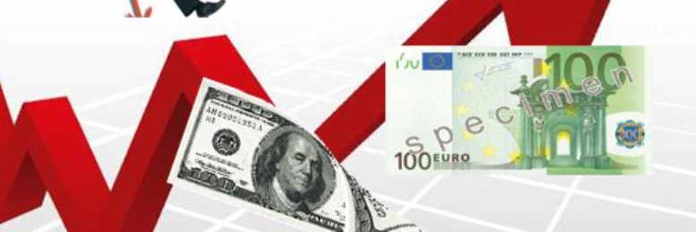 Prof.Dr.Serap Durusoy banner