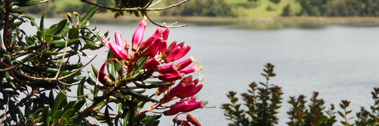 Yadycaoba's profile banner image
