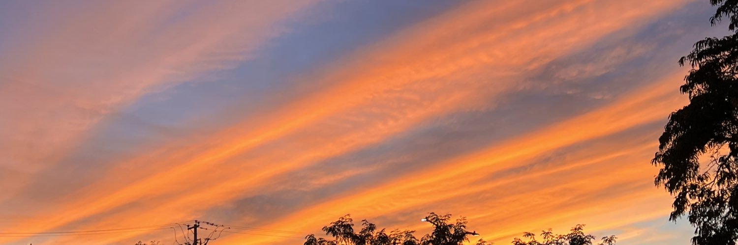 LaMeeels's profile banner image