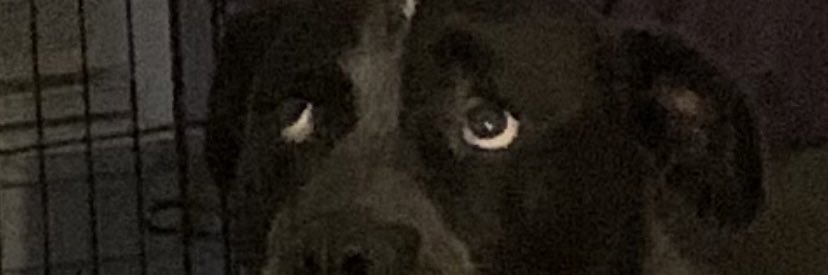 action_jacks0n's profile banner image