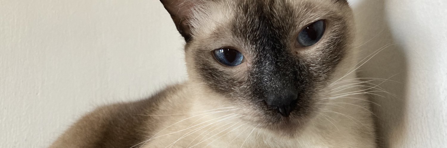 Mafffcruz's profile banner image