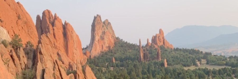 MadamCarter's profile banner image