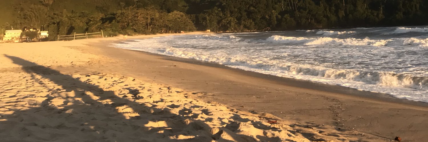 eviniciusmorais's profile banner image
