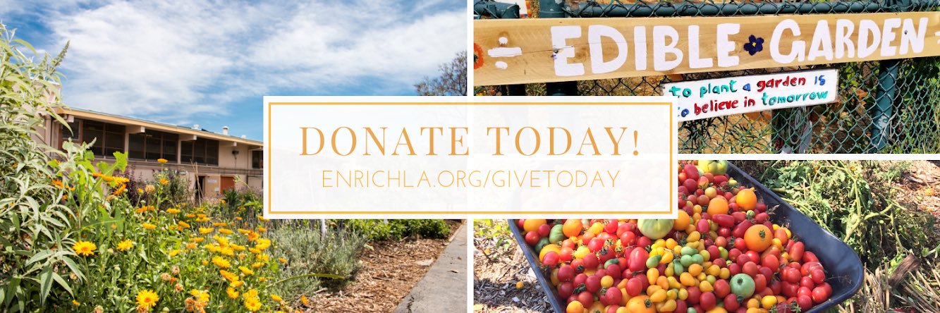 EnrichLA's profile banner image