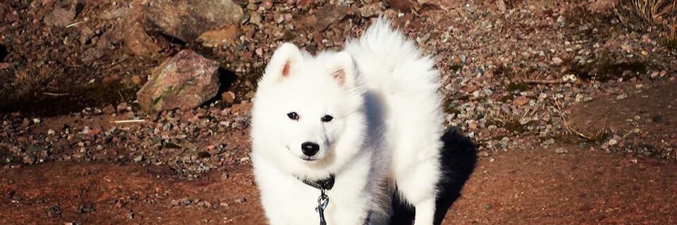 Tezzan90's profile banner image