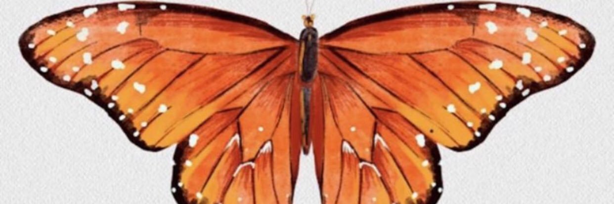 laauraselau's profile banner image