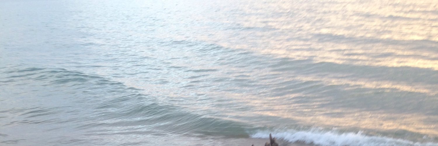 shekiteley3's profile banner image