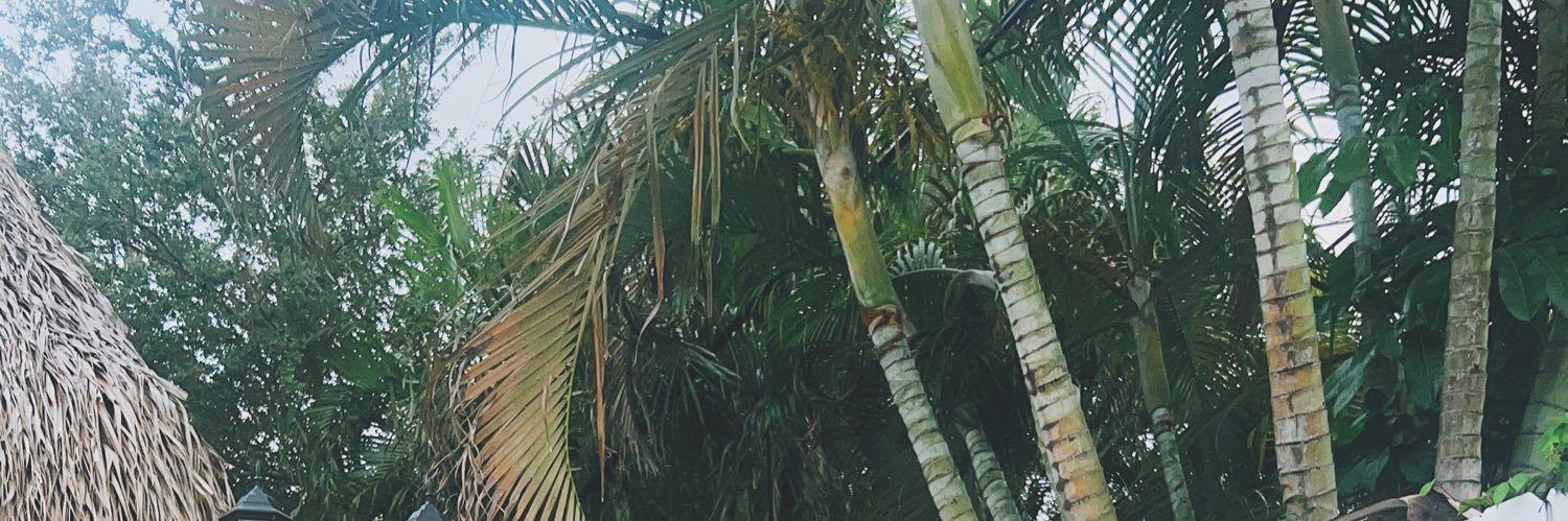 anaesee_'s profile banner image
