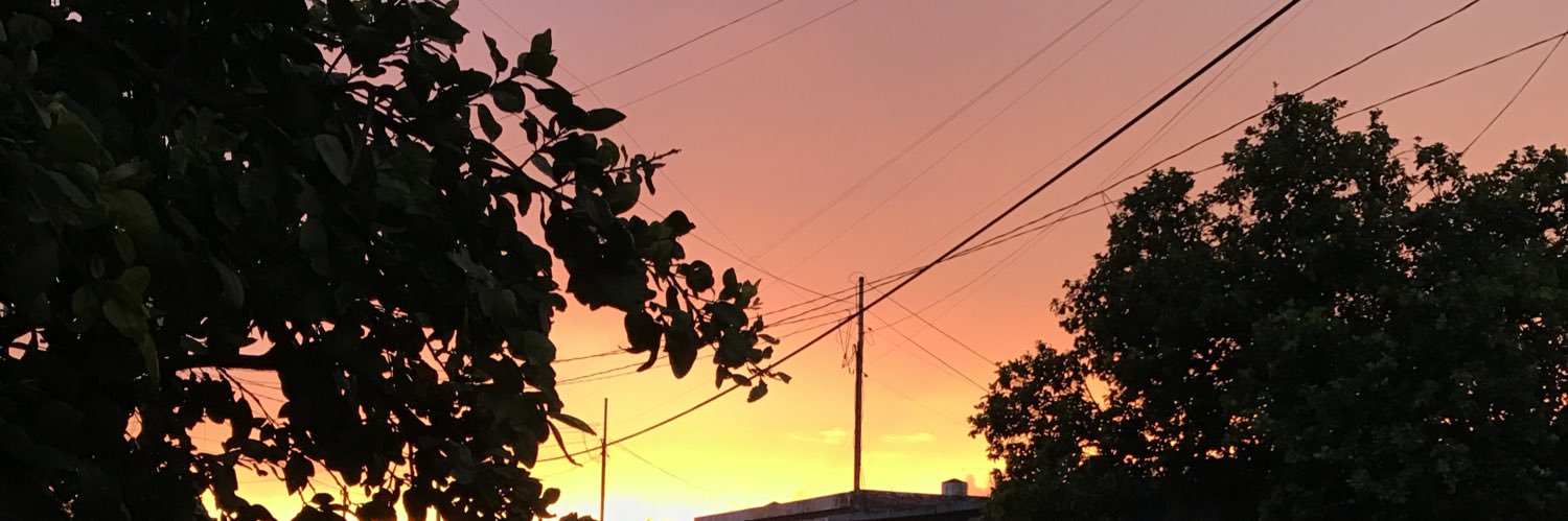 marissa_che's profile banner image