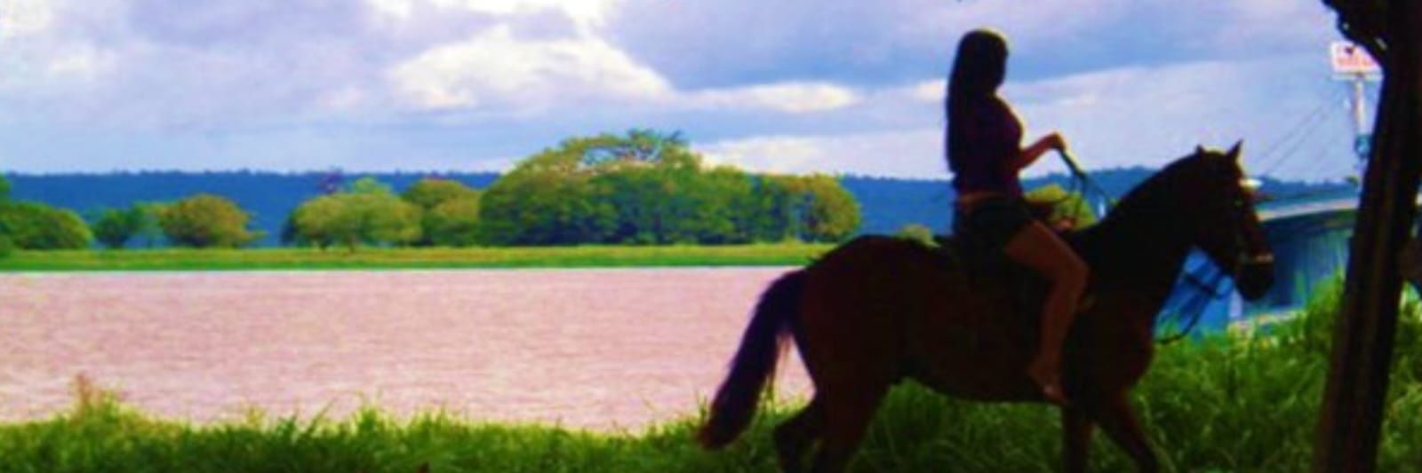 Paty🏹🔎🤠⚡️⚡️ 👩🏽‍🎓🍞💎🦛⚡️❤️🥷🧜‍♀️ banner