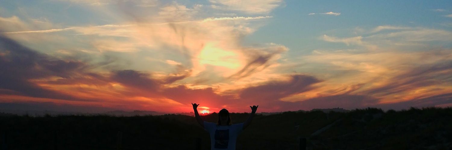 Carol Amado banner