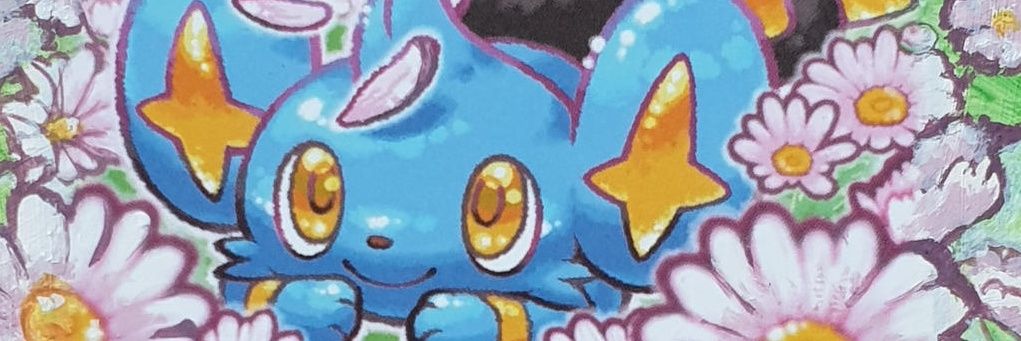 rapha.d banner