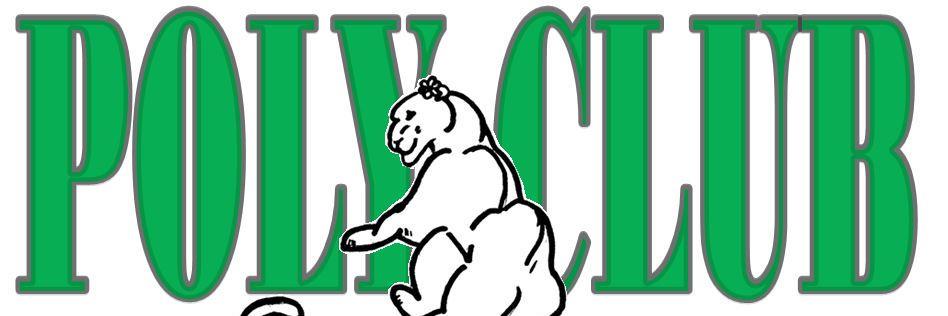 PVHS_PolyClub's profile banner image