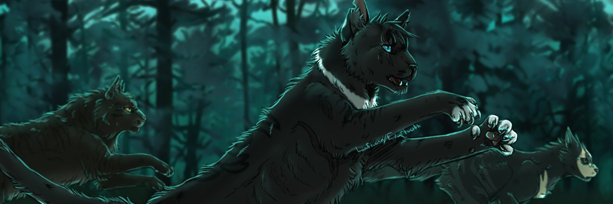 evertooth's profile banner image