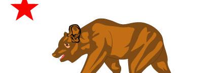 Cauli_Nation's profile banner image
